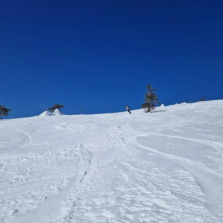 Ski-in-out Freerider شاليه *