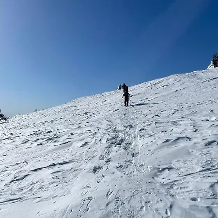 Lomamökit Ski-in-out Freerider *