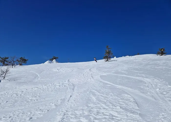 Ski-in-out Freerider شاليه *