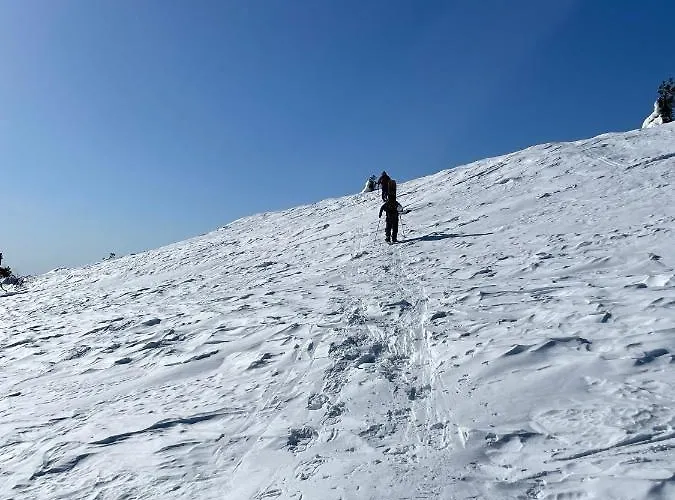 Dağ evi Ski-in-out Freerider *